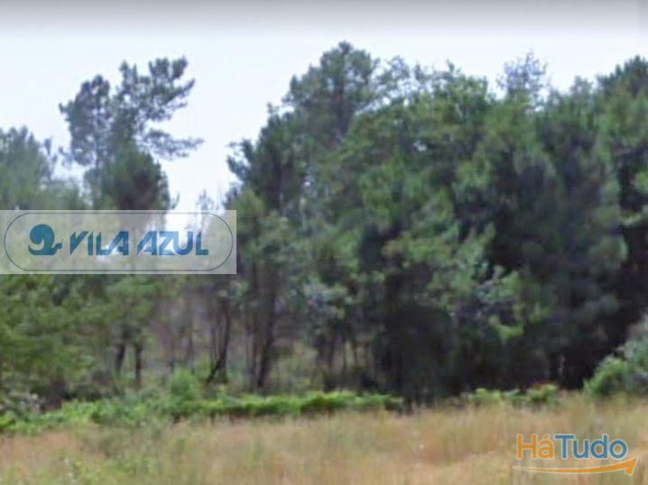 Terreno de Monte - rústico - Gestaçô Baião Terreno de Monte - rústico - Gestaçô Baião