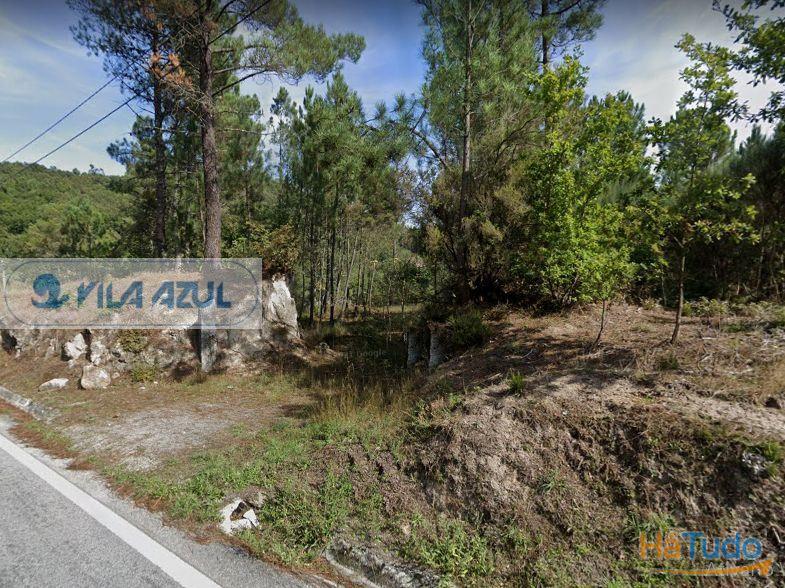 Terreno Florestal - Lugar de Queimada - Baião Terreno Florestal - Lugar de Queimada - Baião