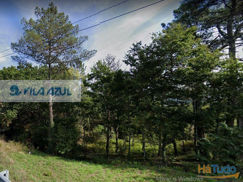 Terreno Florestal - Lugar de Queimada - Baião Terreno Florestal - Lugar de Queimada - Baião