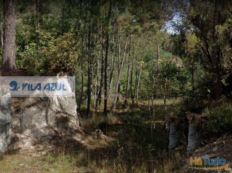 Terreno Florestal - Lugar de Queimada - Baião Terreno Florestal - Lugar de Queimada - Baião
