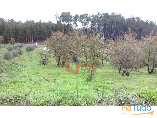 Venda - Terreno Rústico Venda - Terreno Rústico