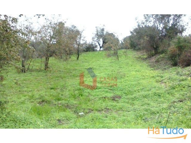 Venda - Terreno Rústico Venda - Terreno Rústico