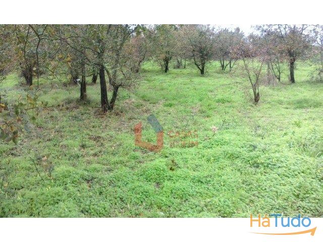 Venda - Terreno Rústico Venda - Terreno Rústico