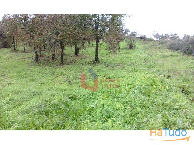 Venda - Terreno Rústico Venda - Terreno Rústico