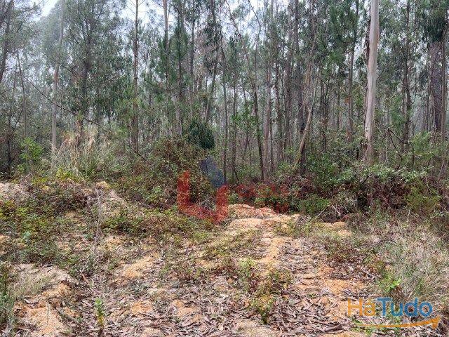 Venda - Terreno Rústico Venda - Terreno Rústico