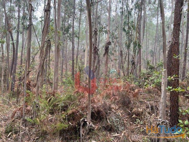 Venda - Terreno Rústico Venda - Terreno Rústico