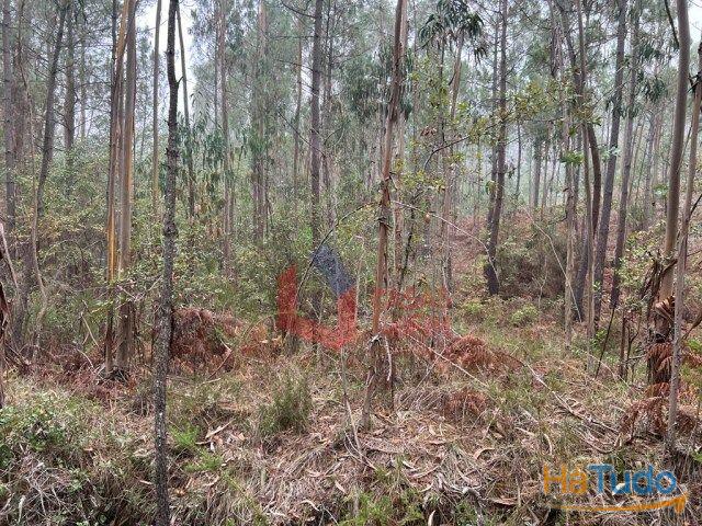 Venda - Terreno Rústico Venda - Terreno Rústico