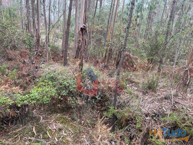 Venda - Terreno Rústico Venda - Terreno Rústico