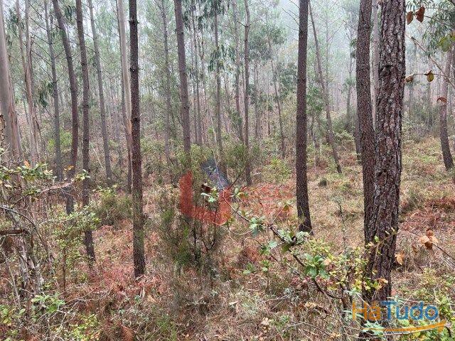 Venda - Terreno Rústico Venda - Terreno Rústico