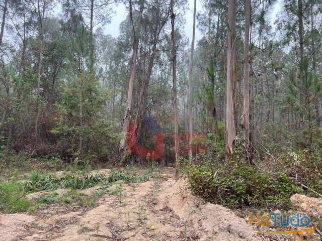 Venda - Terreno Rústico Venda - Terreno Rústico