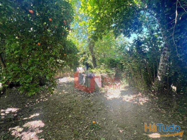 Venda - Moradia Venda - Moradia