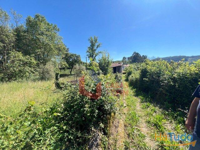 Venda - Moradia - Venda - Moradia -