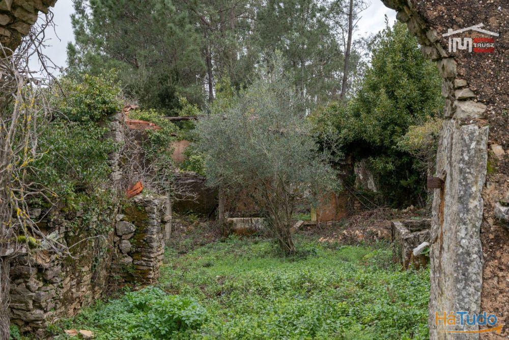 MORADIA T2 PARA RECUPERAR COM AREA COBERTA DE 238 M2 E AREA TOTAL DO TERRENO 1.112 M2 EM SÃO MAMEDE BATALHA MORADIA T2 PARA RECUPERAR COM AREA COBERTA DE 238 M2 E AREA TOTAL DO TERRENO 1.112 M2 EM SÃO MAMEDE BATALHA