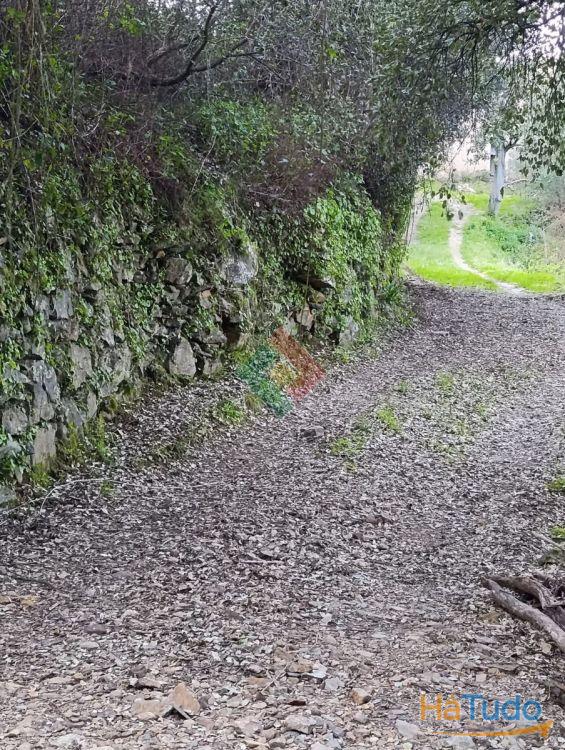 Quinta, para venda, Portalegre - Reguengo e S�o Juli�o