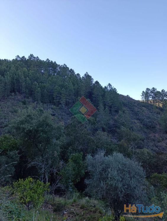 Quinta, para venda, Portalegre - Reguengo e S�o Juli�o