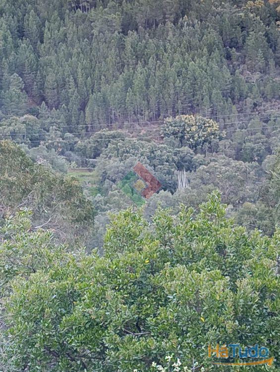 Quinta, para venda, Portalegre - Reguengo e S�o Juli�o