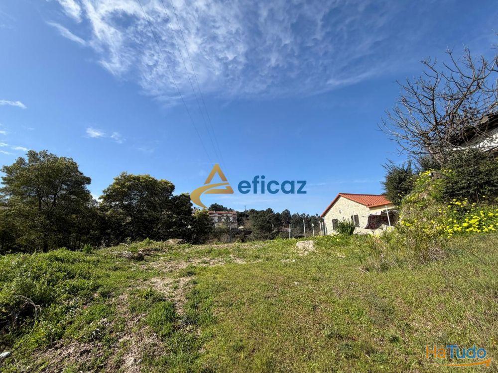 Terreno urbano com 390 m², localizado em Amarante Terreno urbano com 390 m², localizado em Amarante