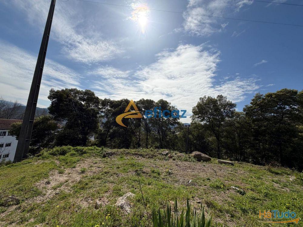 Terreno urbano com 390 m², localizado em Amarante Terreno urbano com 390 m², localizado em Amarante