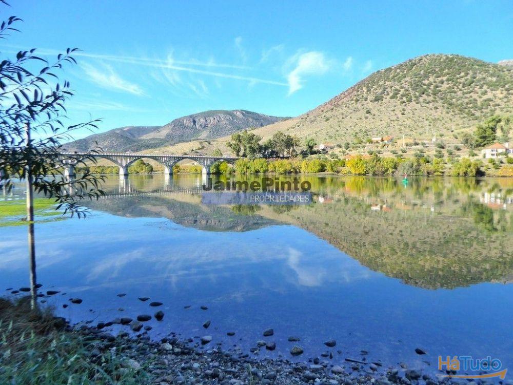 Olival de 100ha. Portugal, Barca DAlva. Olival de 100ha. Portugal, Barca DAlva.