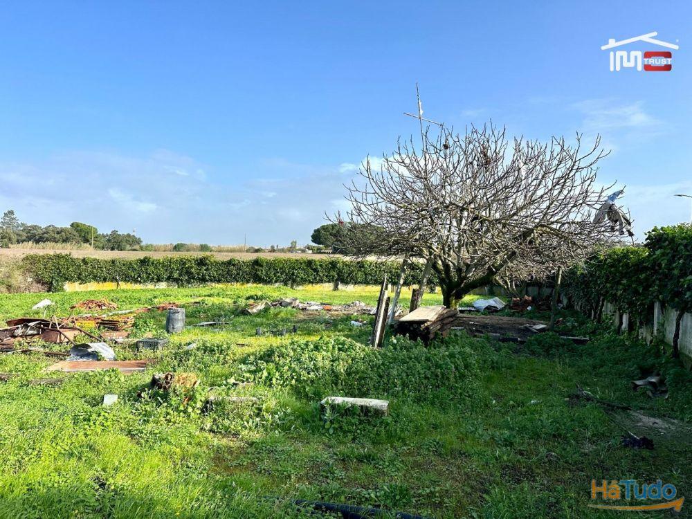 Incrível Terreno Urbano com 700m2 para construção Incrível Terreno Urbano com 700m2 para construção