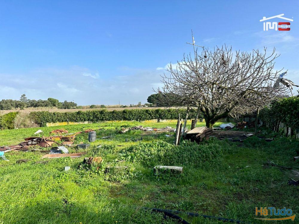 Incrível Terreno Urbano com 700m2 para construção Incrível Terreno Urbano com 700m2 para construção