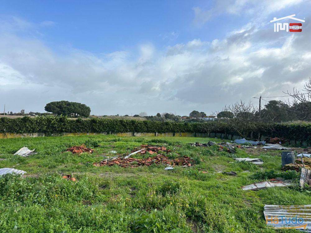 Incrível Terreno Urbano com 700m2 para construção Incrível Terreno Urbano com 700m2 para construção