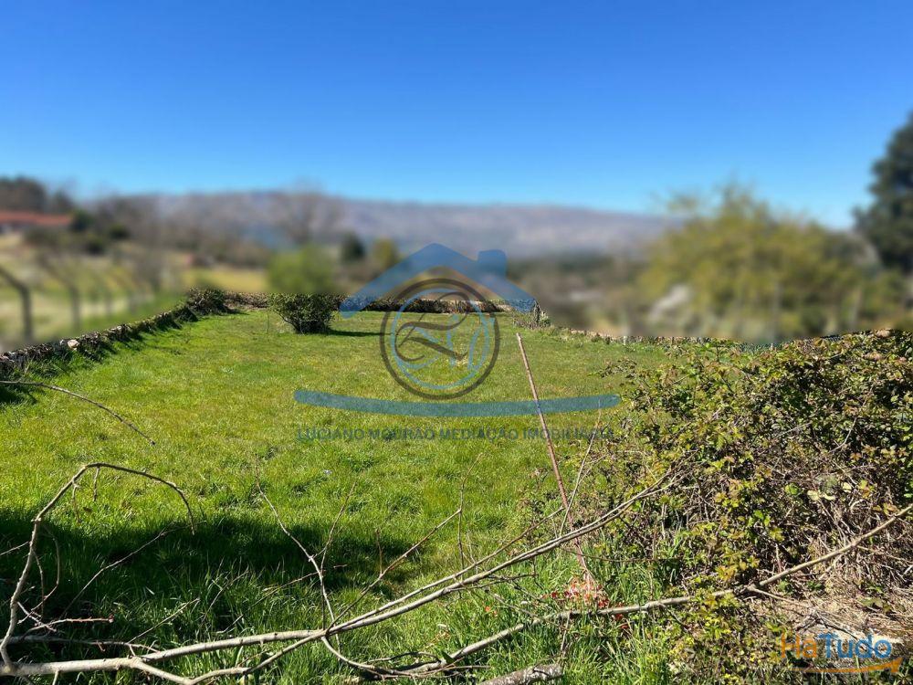 Terreno ? Rústico ? Viabilidade Construtiva Terreno ? Rústico ? Viabilidade Construtiva