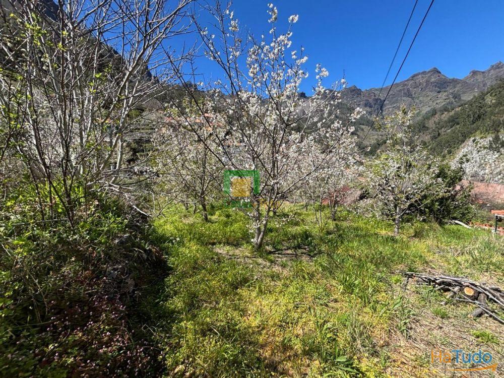 Moradia com terreno Moradia com terreno