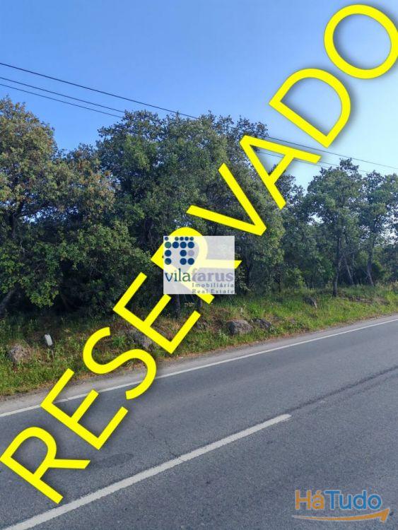 Terreno rústico com 13.600m2 entre Loulé e São Brás Terreno rústico com 13.600m2 entre Loulé e São Brás