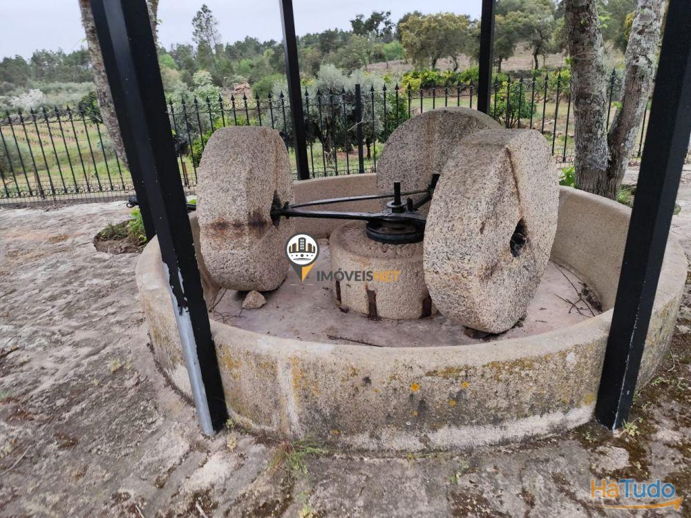 Quinta Rústica com casa, para VENDA, Tinalhas, Castelo Branco Quinta Rústica com casa, para VENDA, Tinalhas, Castelo Branco