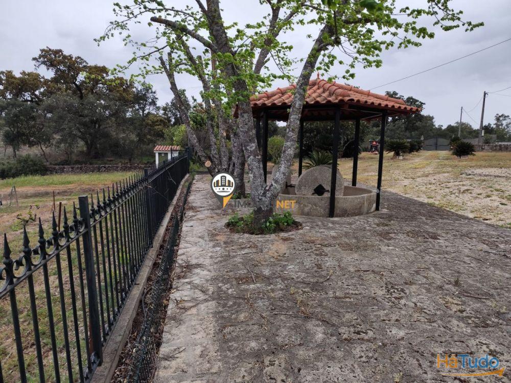 Quinta Rústica com casa, para VENDA, Tinalhas, Castelo Branco Quinta Rústica com casa, para VENDA, Tinalhas, Castelo Branco