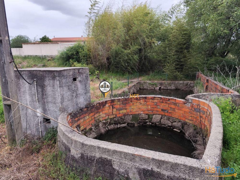 Quinta Rústica com casa, para VENDA, Tinalhas, Castelo Branco Quinta Rústica com casa, para VENDA, Tinalhas, Castelo Branco