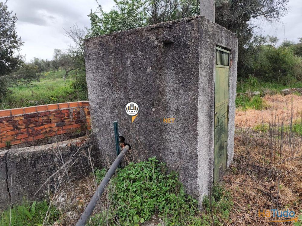 Quinta Rústica com casa, para VENDA, Tinalhas, Castelo Branco Quinta Rústica com casa, para VENDA, Tinalhas, Castelo Branco