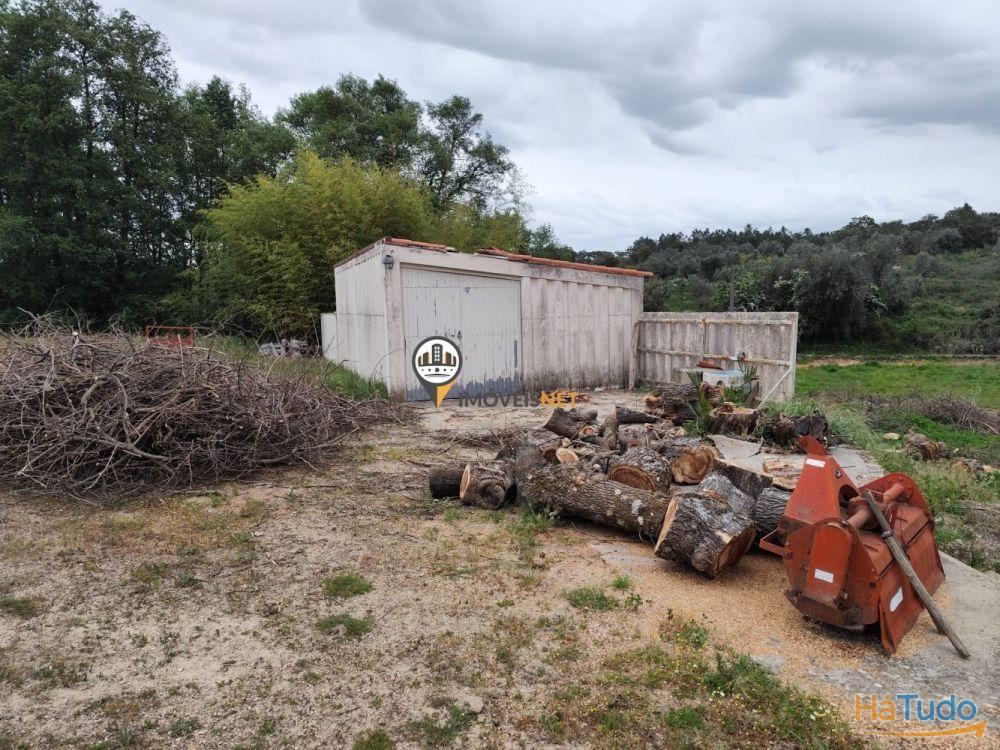 Quinta Rústica com casa, para VENDA, Tinalhas, Castelo Branco Quinta Rústica com casa, para VENDA, Tinalhas, Castelo Branco