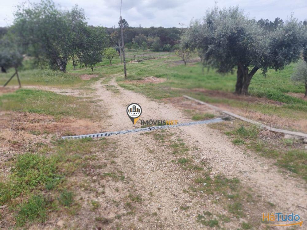Quinta Rústica com casa, para VENDA, Tinalhas, Castelo Branco Quinta Rústica com casa, para VENDA, Tinalhas, Castelo Branco