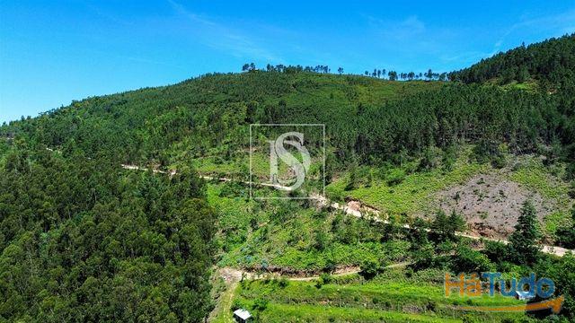 Venda - Moradia - T2 Venda - Moradia - T2