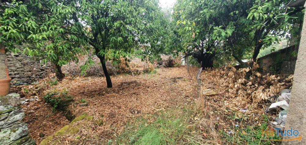 Moradia com quintal na freguesia de Sobral do Campo - Castelo Branco Moradia com quintal na freguesia de Sobral do Campo - Castelo Branco