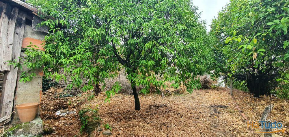 Moradia com quintal na freguesia de Sobral do Campo - Castelo Branco Moradia com quintal na freguesia de Sobral do Campo - Castelo Branco