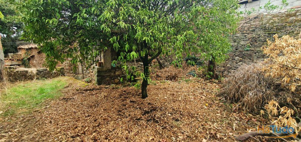 Moradia com quintal na freguesia de Sobral do Campo - Castelo Branco Moradia com quintal na freguesia de Sobral do Campo - Castelo Branco
