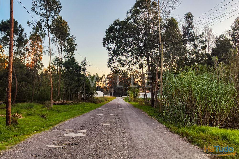 Terreno Para Construção Venda em Vagos e Santo António,Vagos Terreno Para Construção Venda em Vagos e Santo António,Vagos