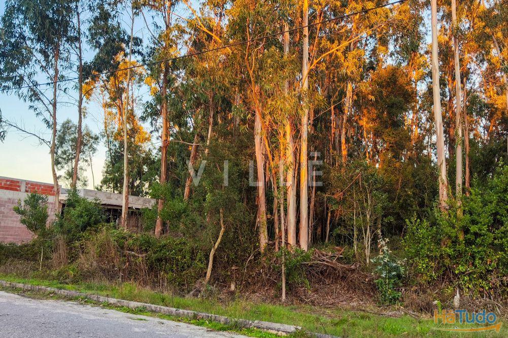 Terreno Para Construção Venda em Vagos e Santo António,Vagos Terreno Para Construção Venda em Vagos e Santo António,Vagos