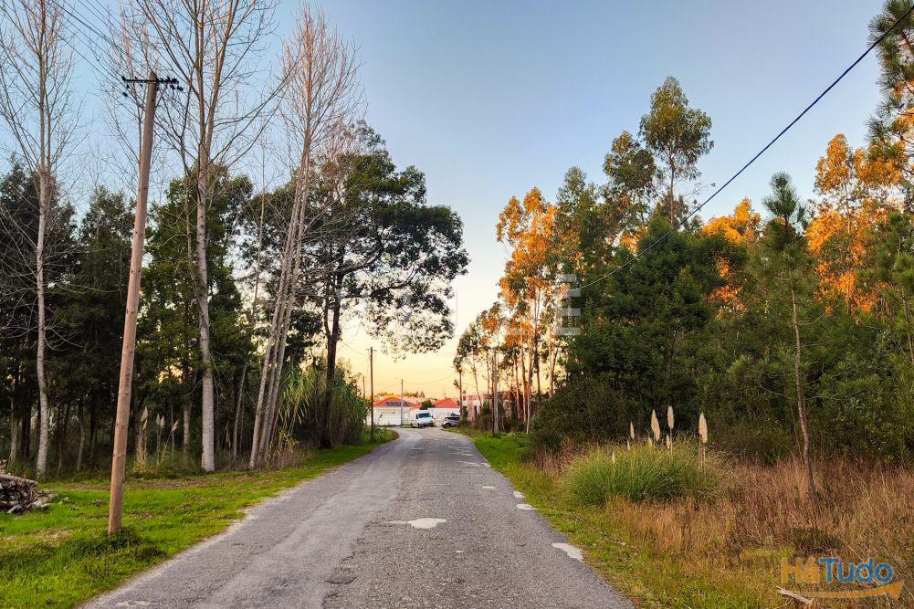 Terreno Para Construção Venda em Vagos e Santo António,Vagos Terreno Para Construção Venda em Vagos e Santo António,Vagos