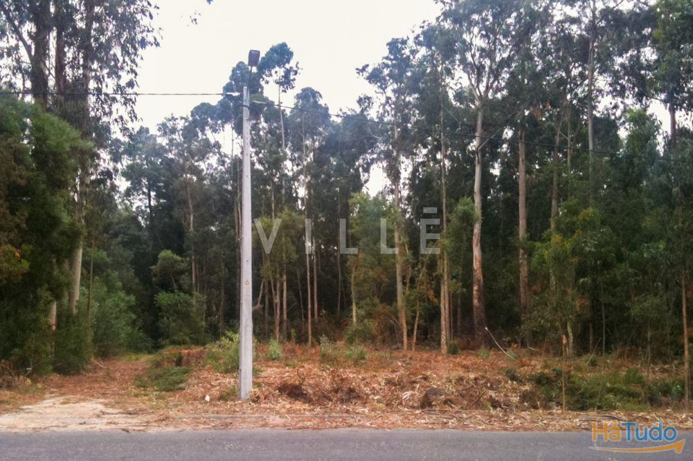 Terreno Para Construção Venda em Vagos e Santo António,Vagos Terreno Para Construção Venda em Vagos e Santo António,Vagos