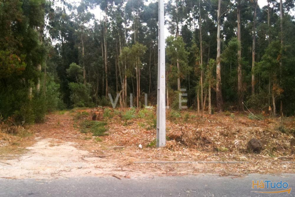Terreno Para Construção Venda em Vagos e Santo António,Vagos Terreno Para Construção Venda em Vagos e Santo António,Vagos