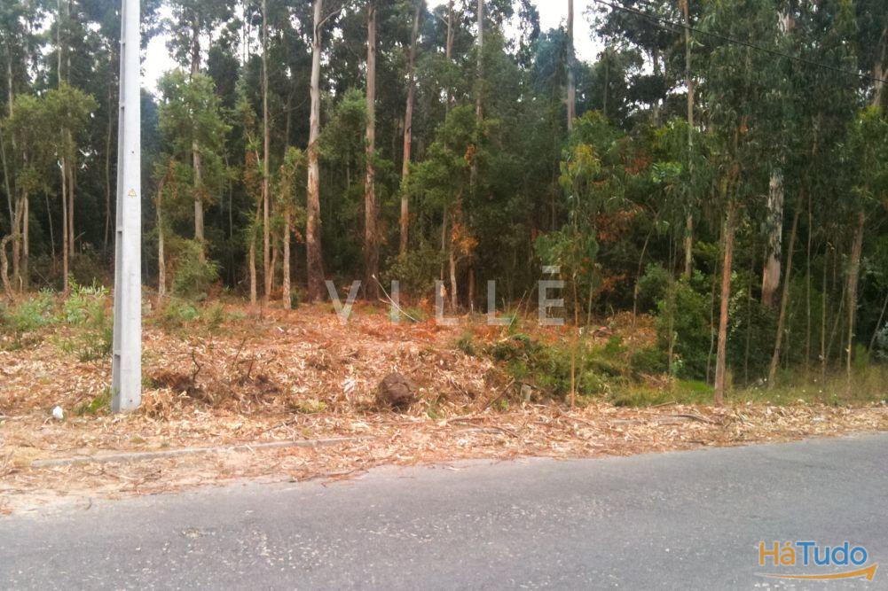 Terreno Para Construção Venda em Vagos e Santo António,Vagos Terreno Para Construção Venda em Vagos e Santo António,Vagos