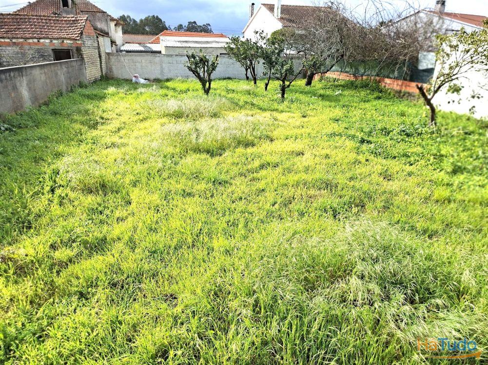 Quer construir uma moradia térrea e isolada em Vagos? Tem aqui o terreno ideal. Quer construir uma moradia térrea e isolada em Vagos? Tem aqui o terreno ideal.
