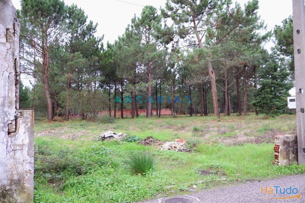 ANG1505 - Terreno para Venda em Marinha Grande ANG1505 - Terreno para Venda em Marinha Grande