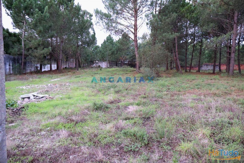 ANG1505 - Terreno para Venda em Marinha Grande ANG1505 - Terreno para Venda em Marinha Grande