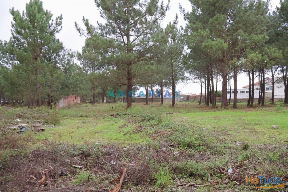 ANG1505 - Terreno para Venda em Marinha Grande ANG1505 - Terreno para Venda em Marinha Grande