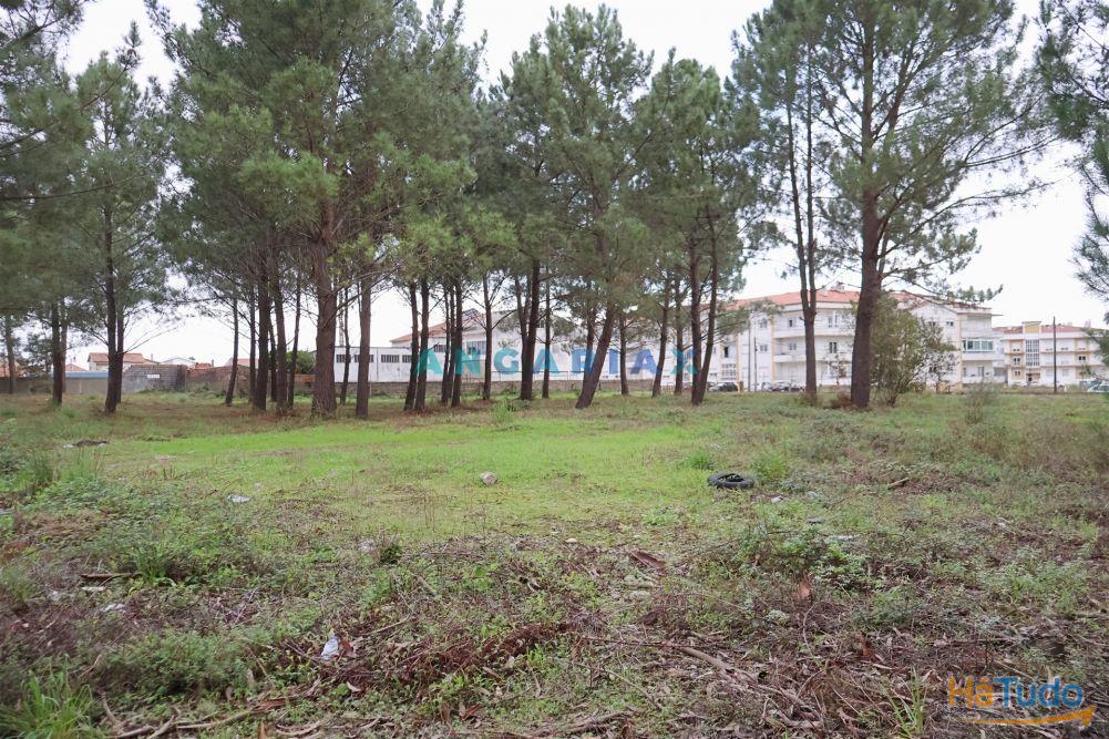 ANG1505 - Terreno para Venda em Marinha Grande ANG1505 - Terreno para Venda em Marinha Grande
